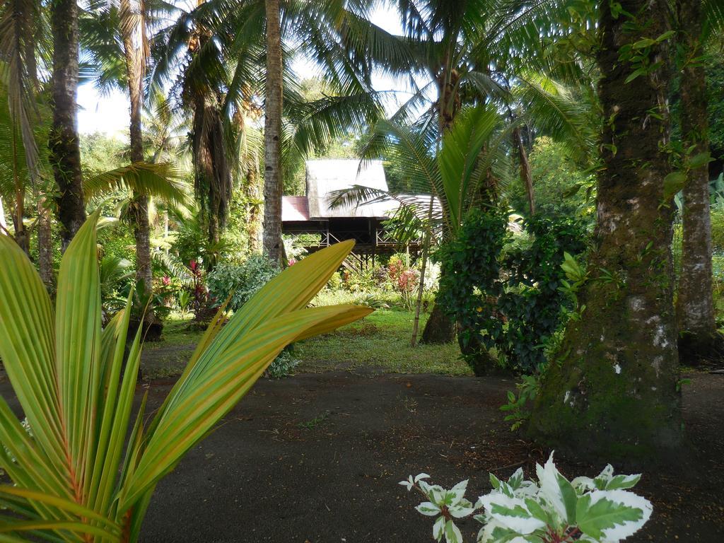 Hotel Nuquimar Luaran gambar