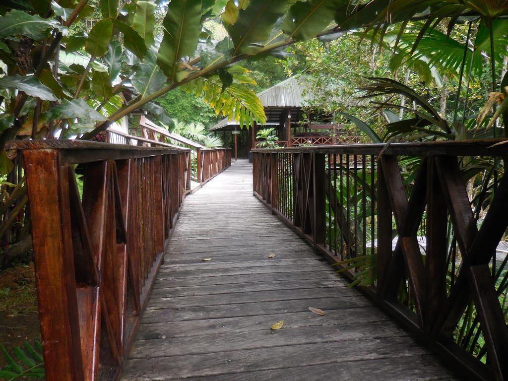 Hotel Nuquimar Luaran gambar